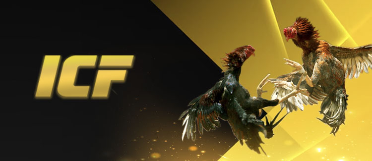 vendor icon
