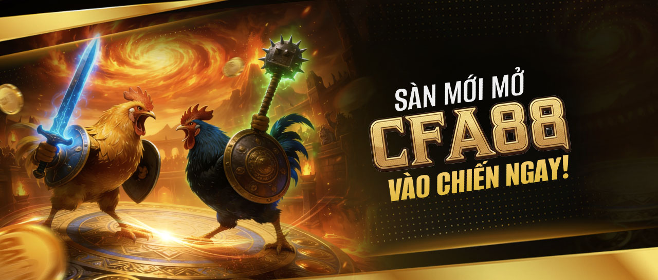 Banner Tải App 2